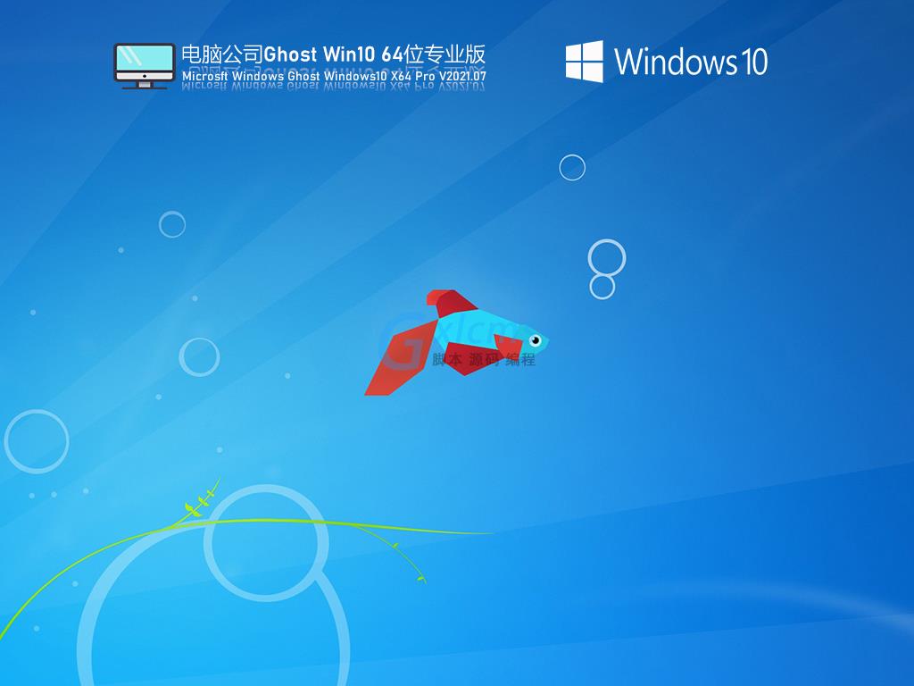 电脑公司Win10 21H1 64位极速专业版 V2021.07