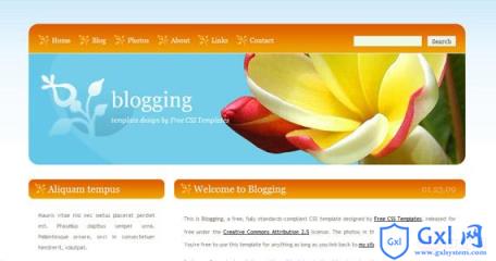 blogging-css-xhtml-template