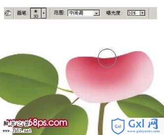 Photoshop 一朵粉红色的卡通玫瑰花