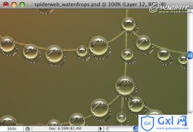Photoshop打造挂满露珠的蜘蛛网