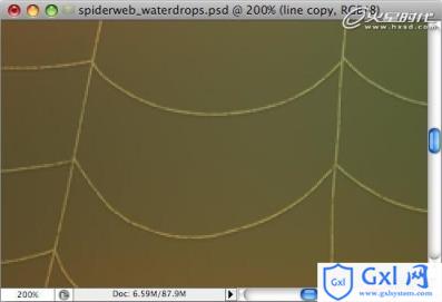 Photoshop打造挂满露珠的蜘蛛网
