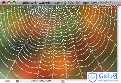 Photoshop打造挂满露珠的蜘蛛网