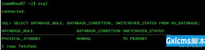 GaussDB T HA模式部署