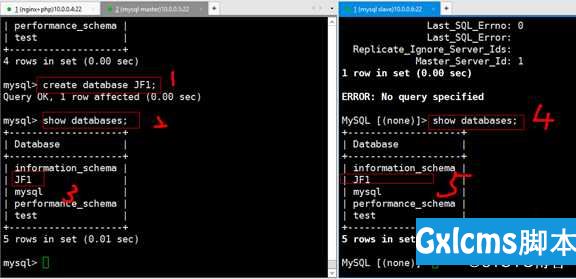 基于源码编译和yum安装的LNP+MYSQL主从实战