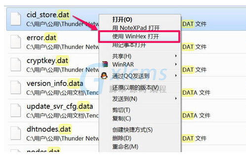 Win10专业版dat文件打开方法