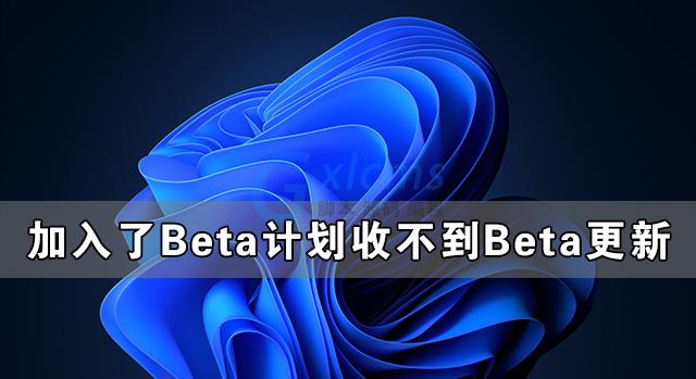 加入了Beta计划却收不到Beta更新